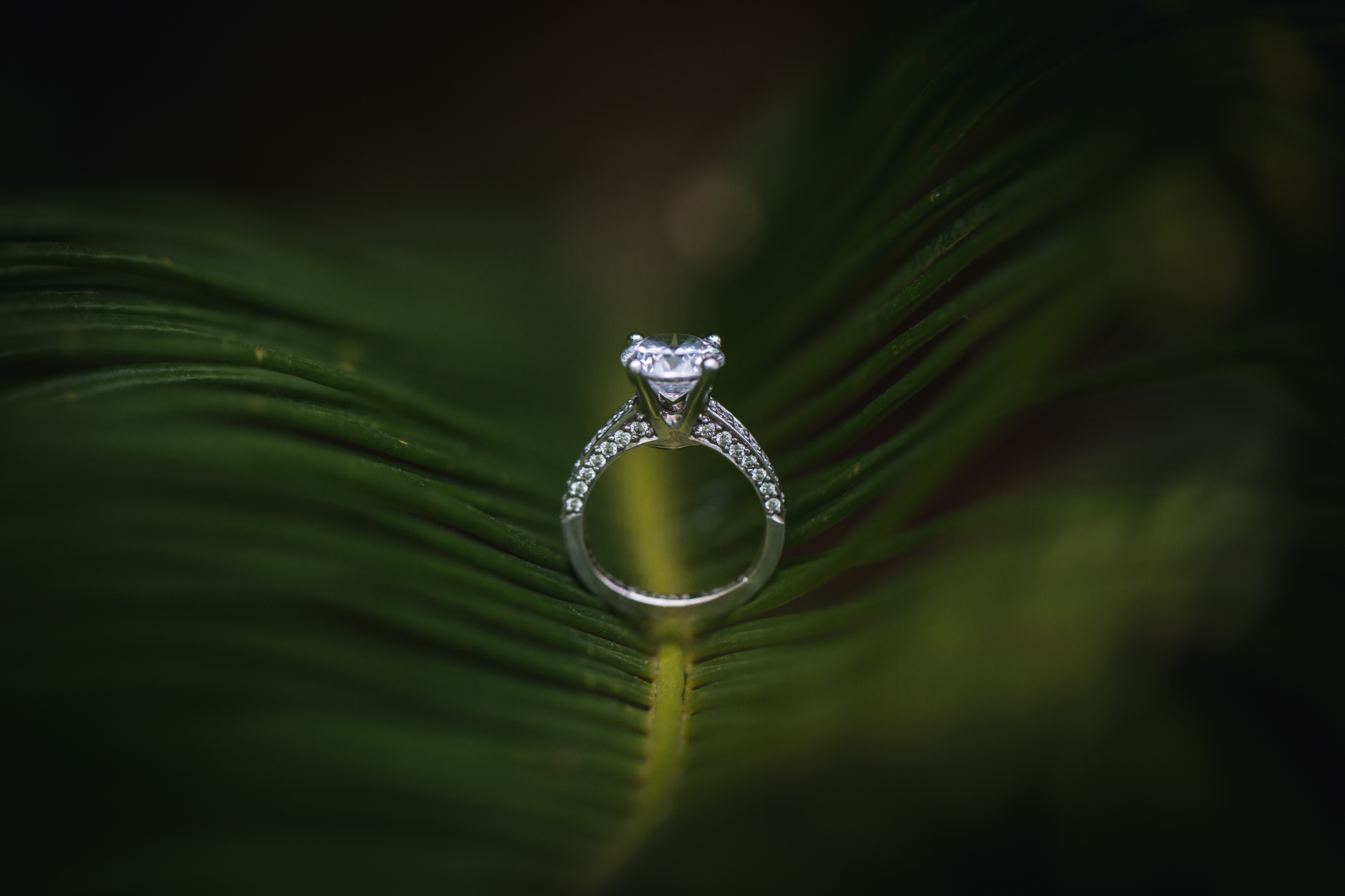 Hochzeit Frankfurt-114